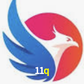 Tecnologia da Plataforma 11q