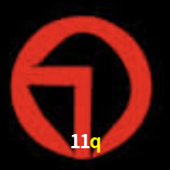 Design Responsivo 11q