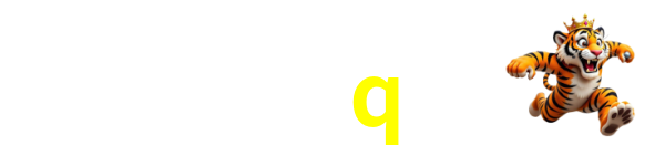 11q